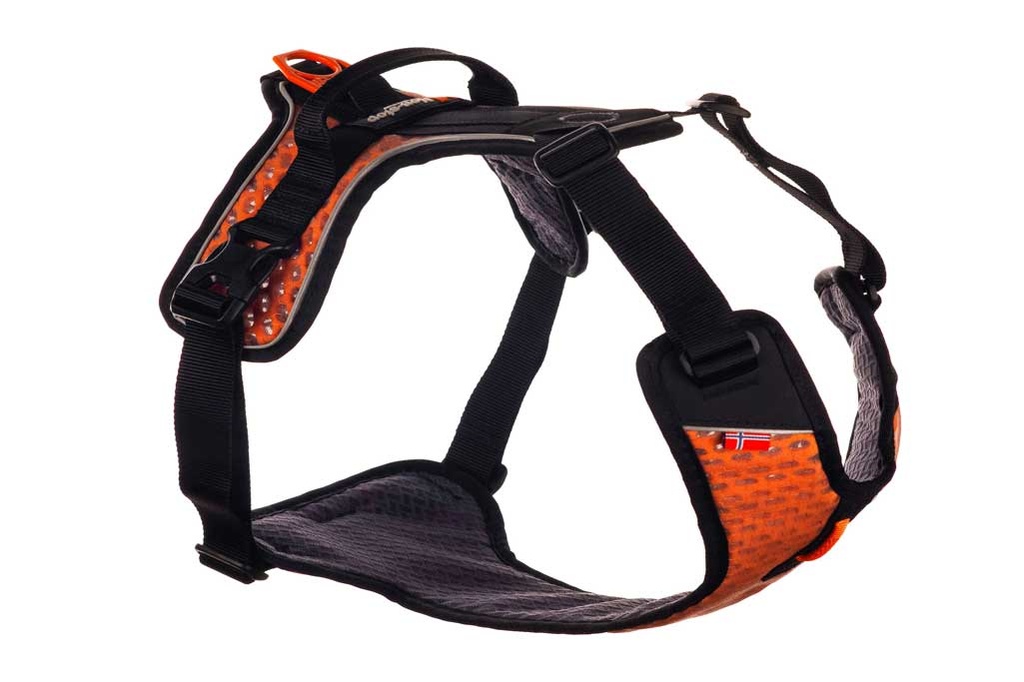 Non-stop dogwear Ultra Harness | DOGSPORTWORLD